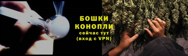 ГАЛЛЮЦИНОГЕННЫЕ ГРИБЫ Абдулино