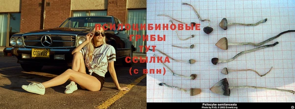 хмурый Абинск