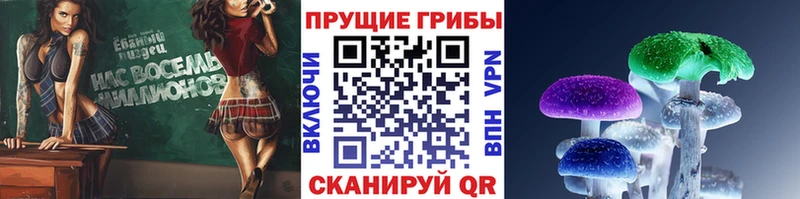 Псилоцибиновые грибы MAGIC MUSHROOMS  Пыталово 